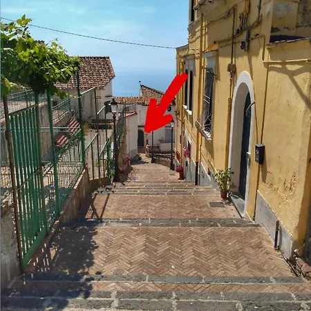 La Terrazza Sul Blu -vista Mare-